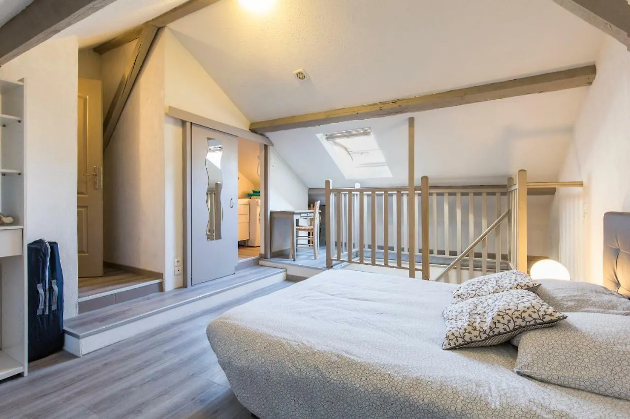 Decouvrir Lourdes Apartment France